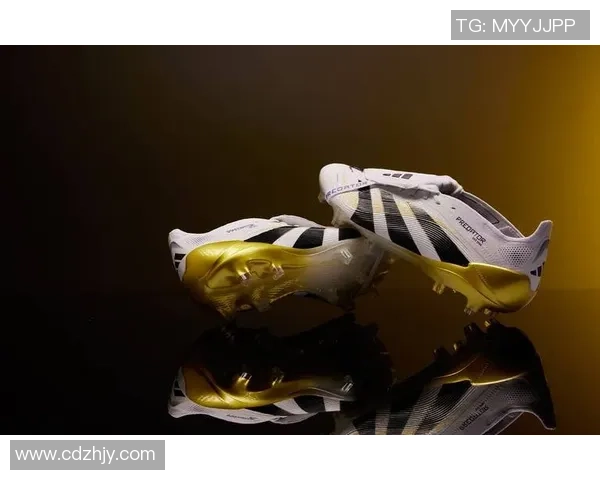 3C科技助力足球明星崛起探索他们背后的创新与荣耀之路